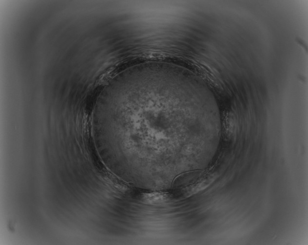 X0000091720511200709071439