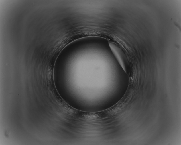 X0000091720513200709071439