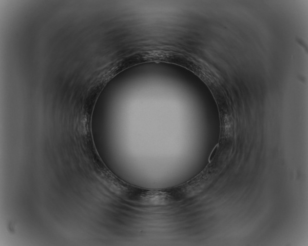 X0000091720514200709071439