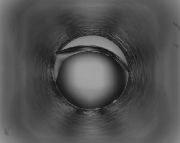 X0000091720516200709071439