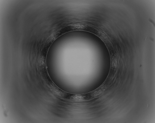 X0000091720518200709071439