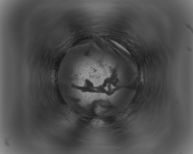 X0000091720519200709071439