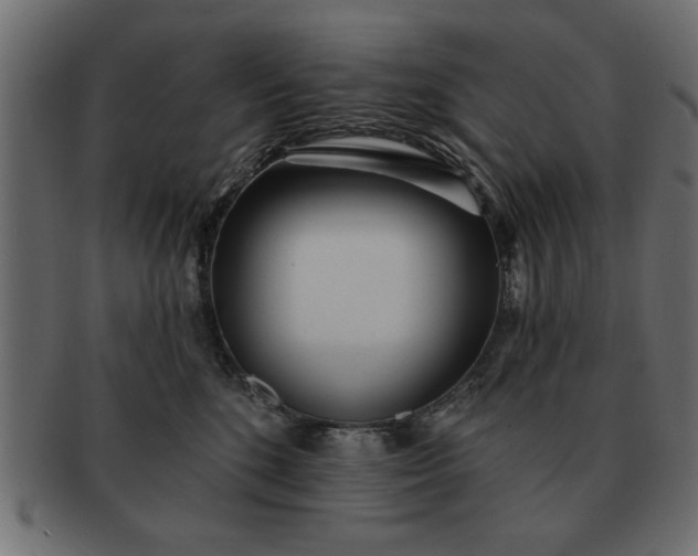 X0000091720520200709071439