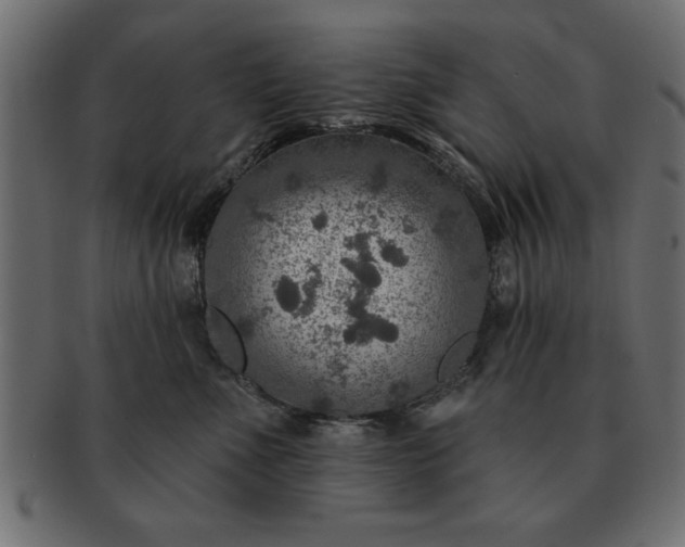 X0000091720523200709071439