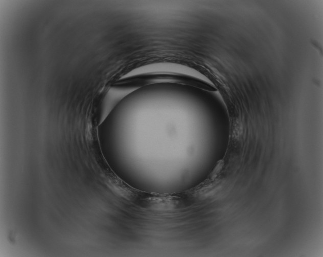 X0000091720524200709071439