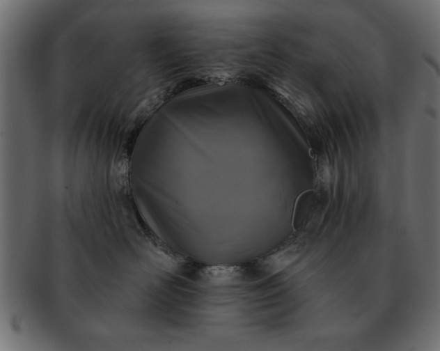 X0000091720526200709071439