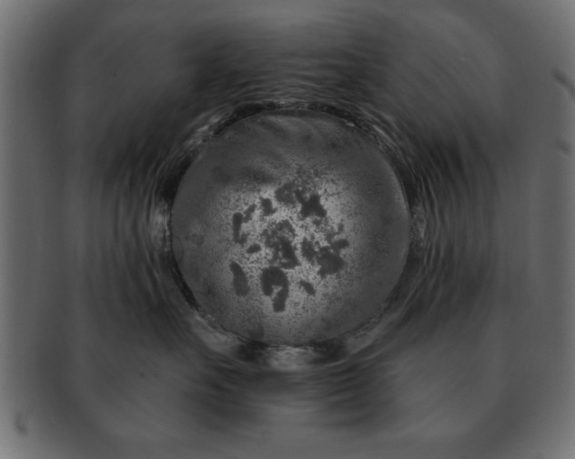 X0000091720527200709071439