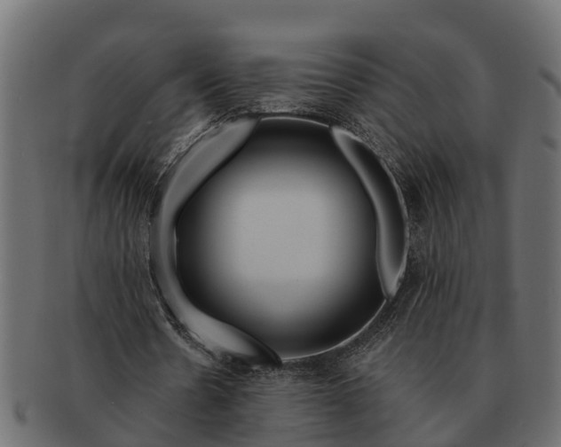 X0000091720530200709071438