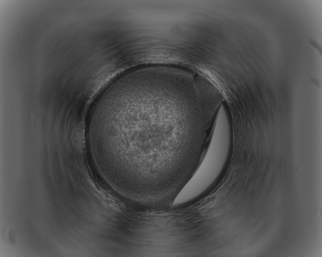 X0000091720531200709071438