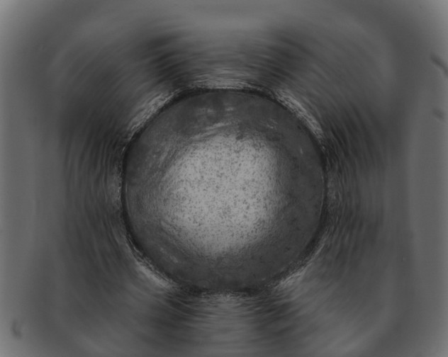 X0000091720533200709071438