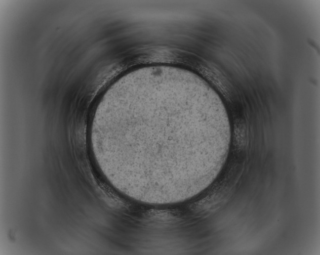 X0000091720534200709071438