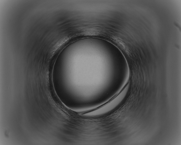 X0000091720535200709071438