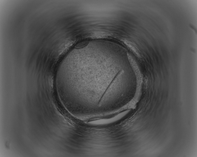 X0000091720539200709071438