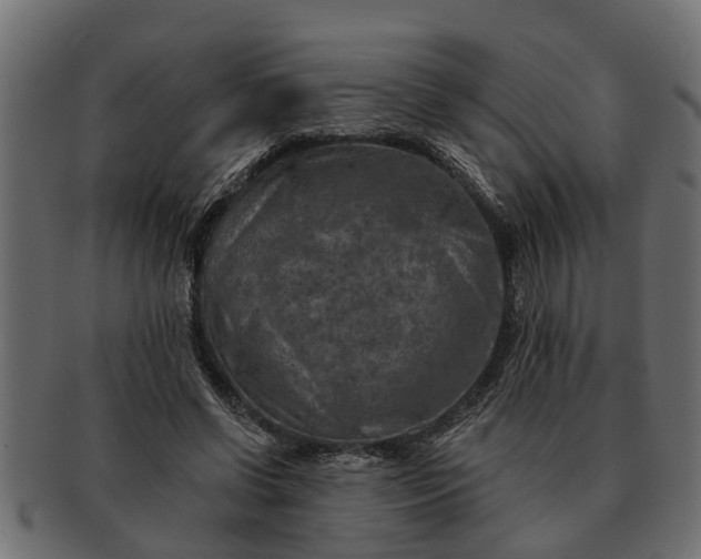 X0000091720542200709071438