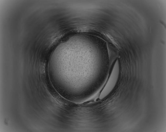 X0000091720543200709071438