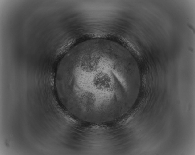 X0000091720545200709071438