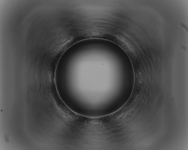 X0000091720546200709071438