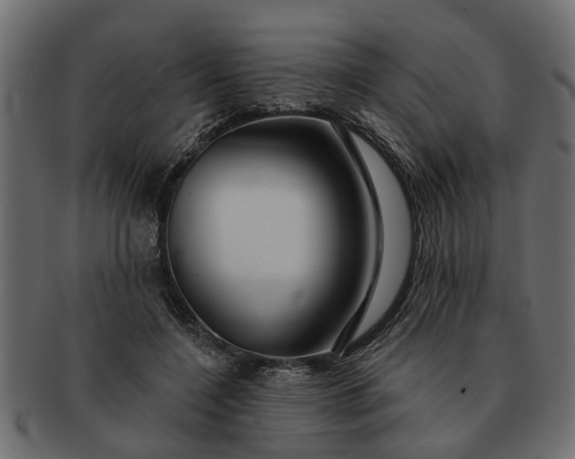 X0000091720548200709071438