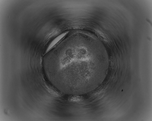 X0000091720550200709071438