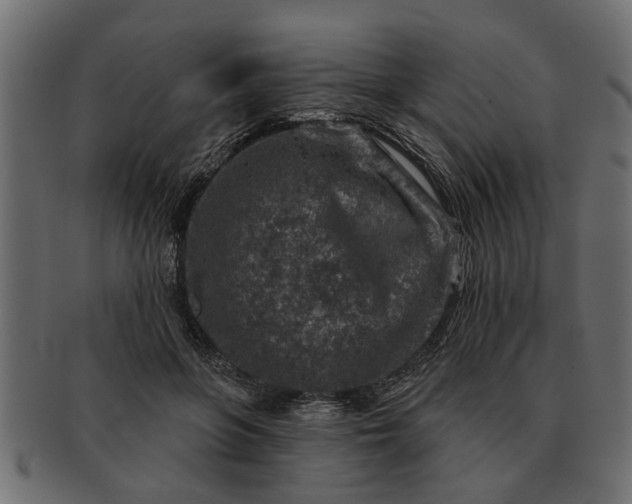 X0000091720551200709071438