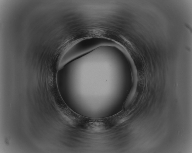 X0000091720552200709071438