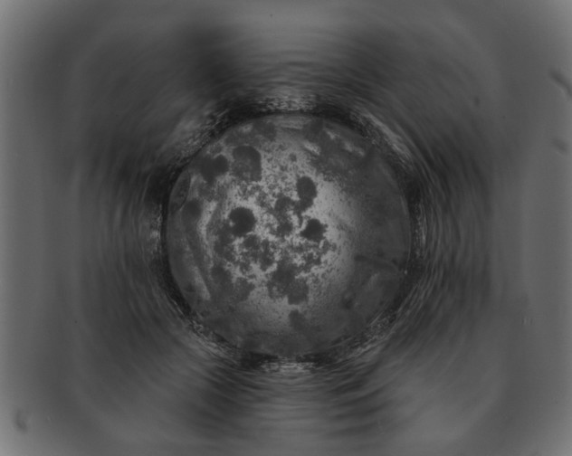 X0000091720553200709071438