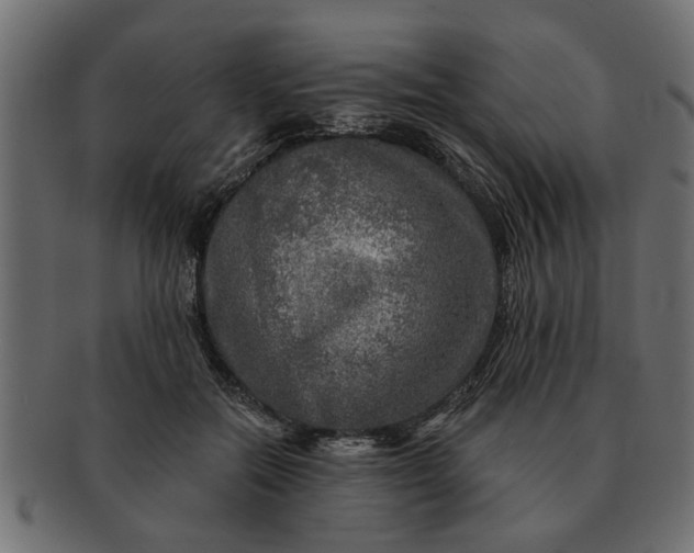 X0000091720554200709071438