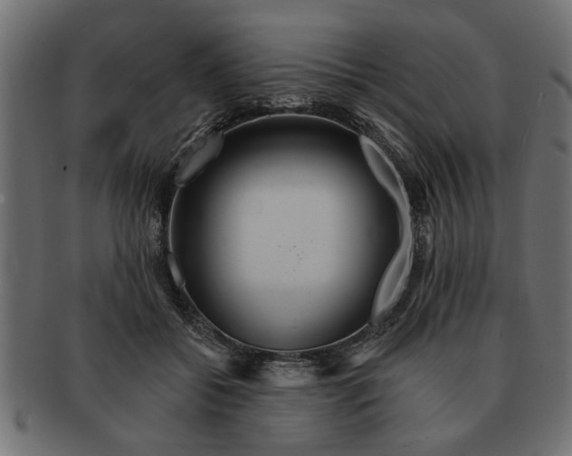 X0000091720556200709071438