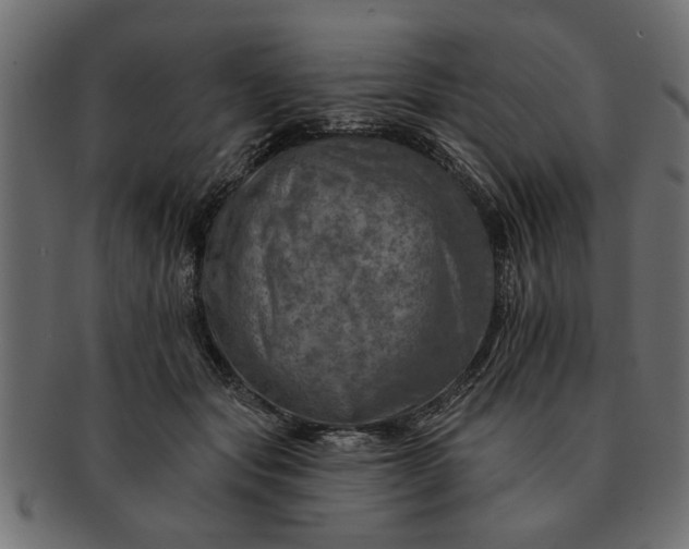 X0000091720557200709071438