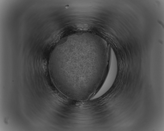 X0000091720559200709071438