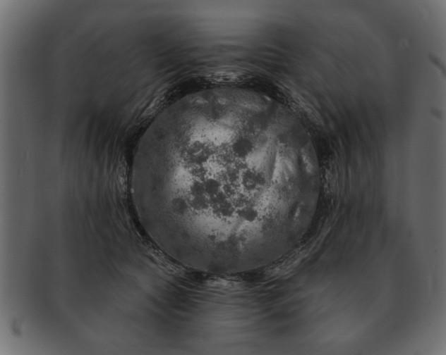 X0000091720561200709071438