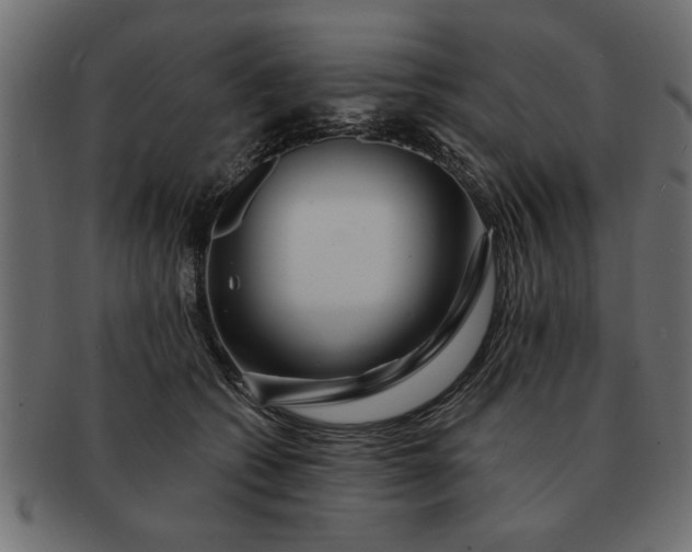 X0000091720562200709071438