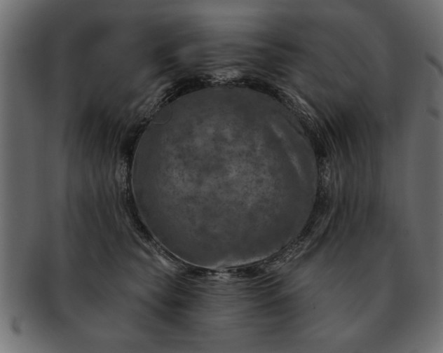 X0000091720565200709071438