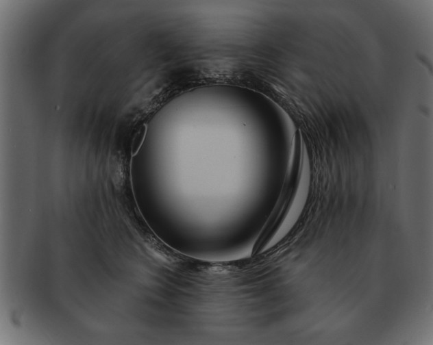 X0000091720566200709071439