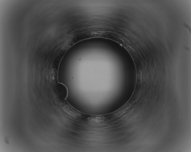 X0000091720567200709071439