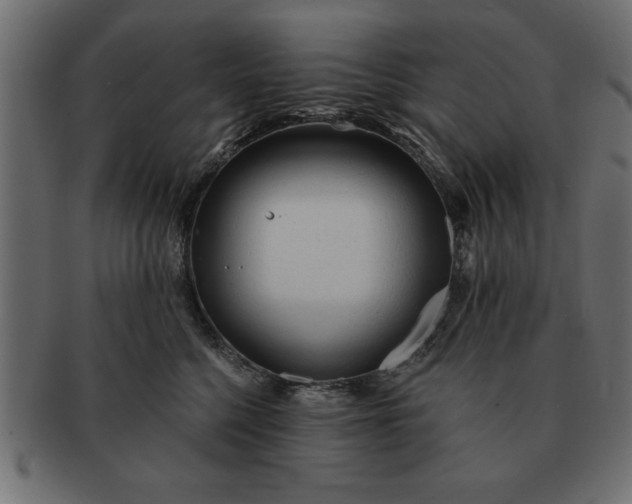 X0000091720568200709071439