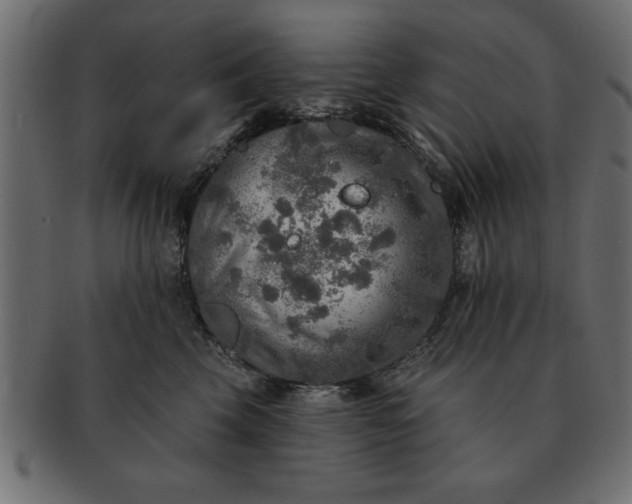 X0000091720569200709071439