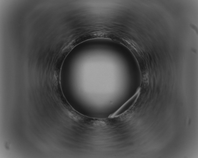 X0000091720572200709071439