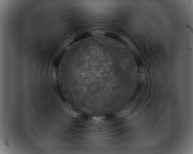 X0000091720573200709071439