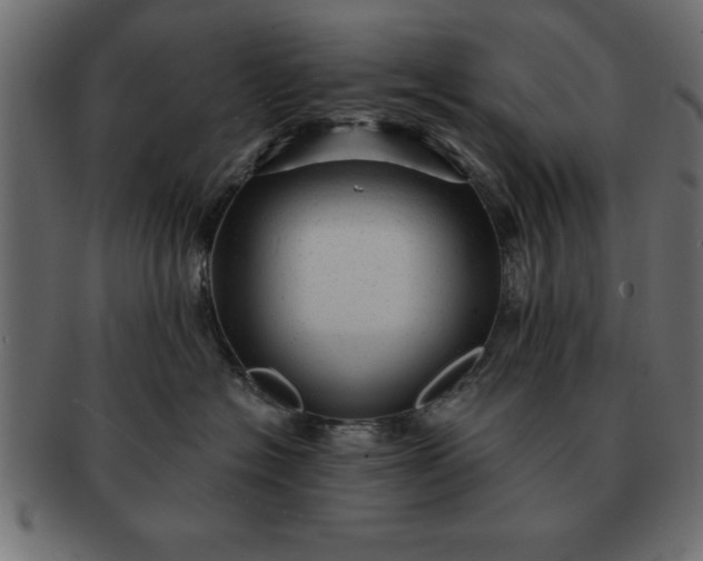 X0000091720574200709071439