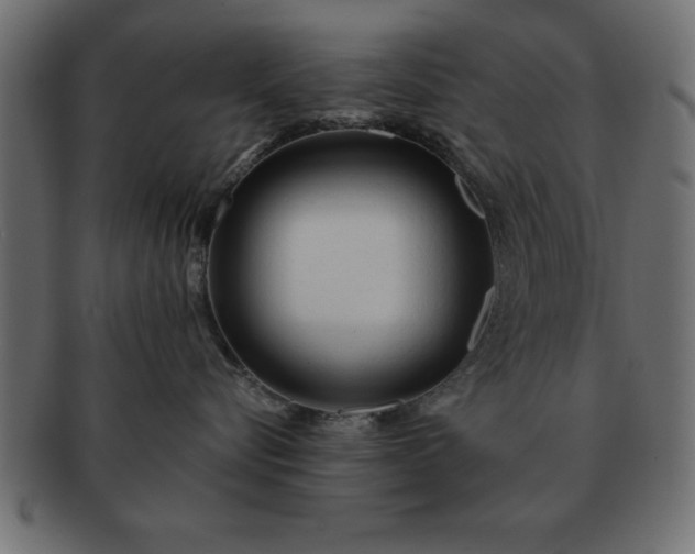 X0000091720576200709071439