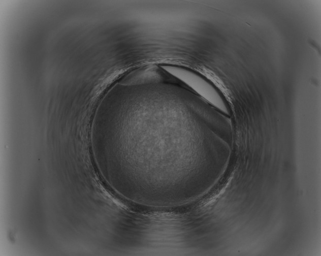 X0000091720577200709071438