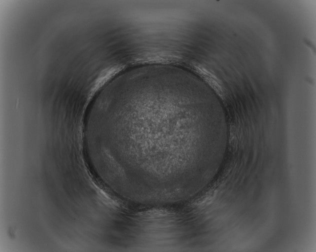 X0000091720578200709071438