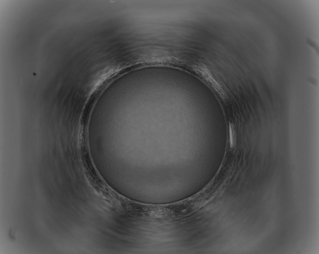 X0000091720579200709071438