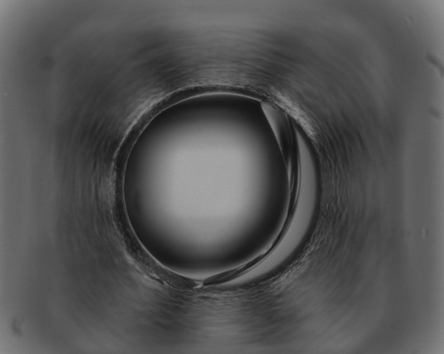 X0000091720580200709071438