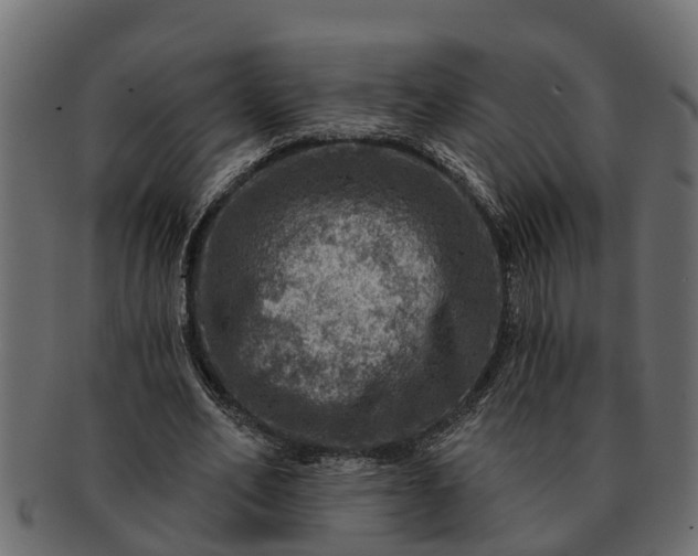 X0000091720582200709071438