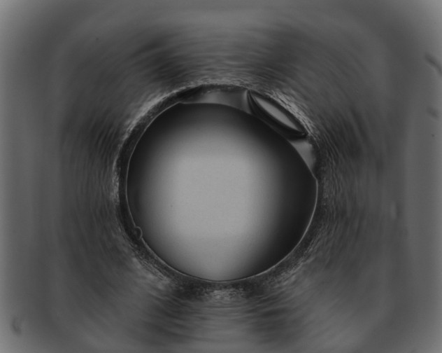 X0000091720584200709071438