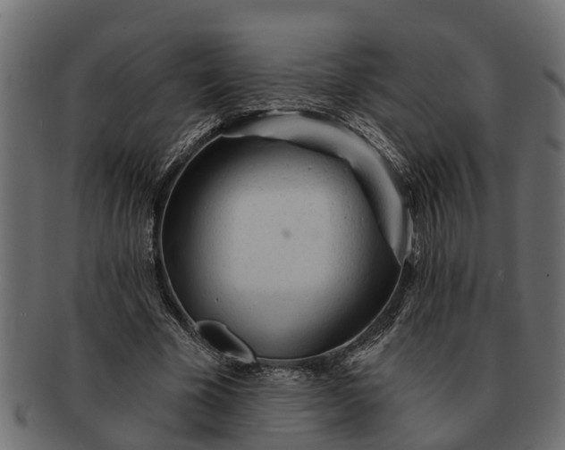 X0000091720585200709071438