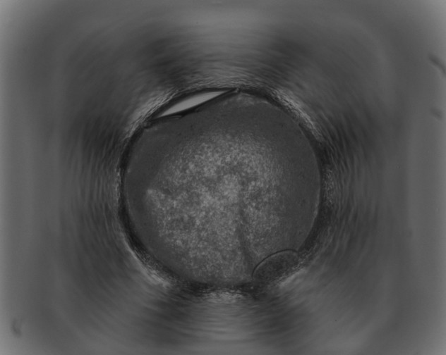 X0000091720586200709071438