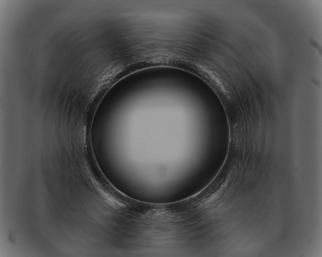 X0000091720589200709071438